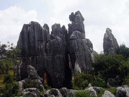 Karst formation in the shape of an elephant in the Minor Stone Forest of Shilin National Park