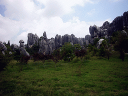 Karst formations in the Minor Stone Forest of Shilin National Park