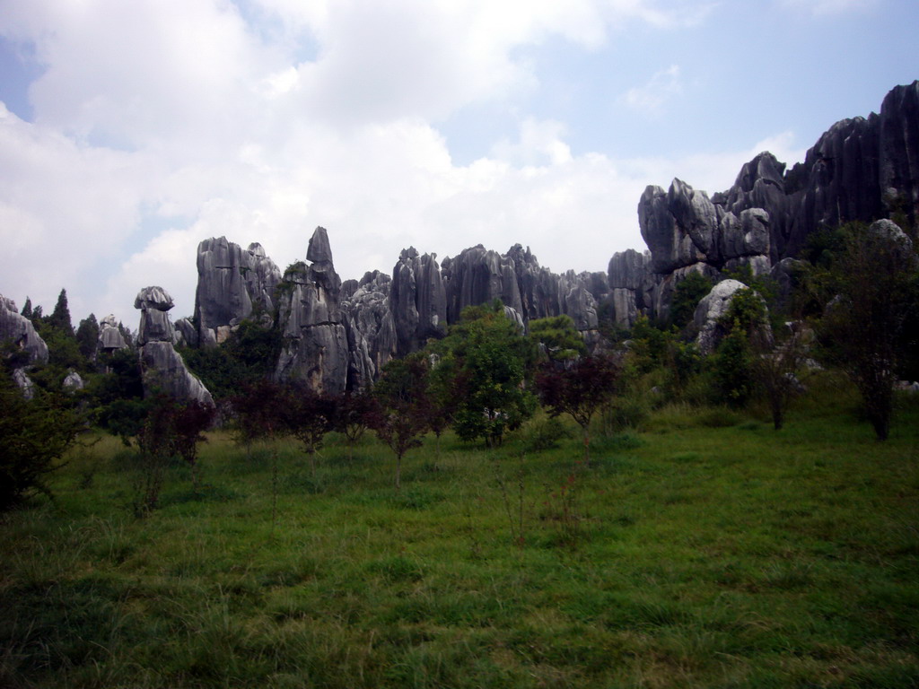 Karst formations in the Minor Stone Forest of Shilin National Park