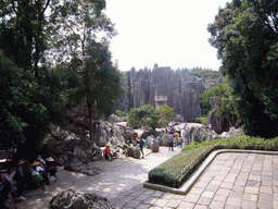 Karst formations in the Major Stone Forest of Shilin National Park