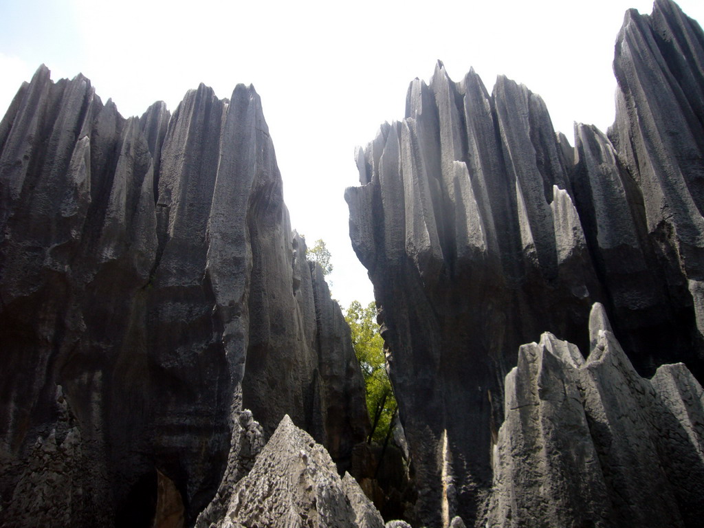 Karst formations in the Major Stone Forest of Shilin National Park