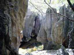 Small lake with karst formations in the Major Stone Forest of Shilin National Park