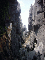 Staircase and karst formations in the Major Stone Forest of Shilin National Park
