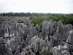 View from a high pavilion on the Major Stone Forest of Shilin National Park