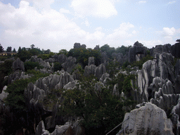 View from a high pavilion on the Major Stone Forest of Shilin National Park