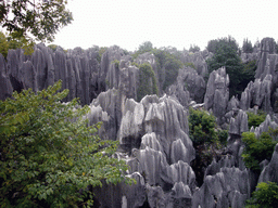 View from a high pavilion on the Major Stone Forest of Shilin National Park