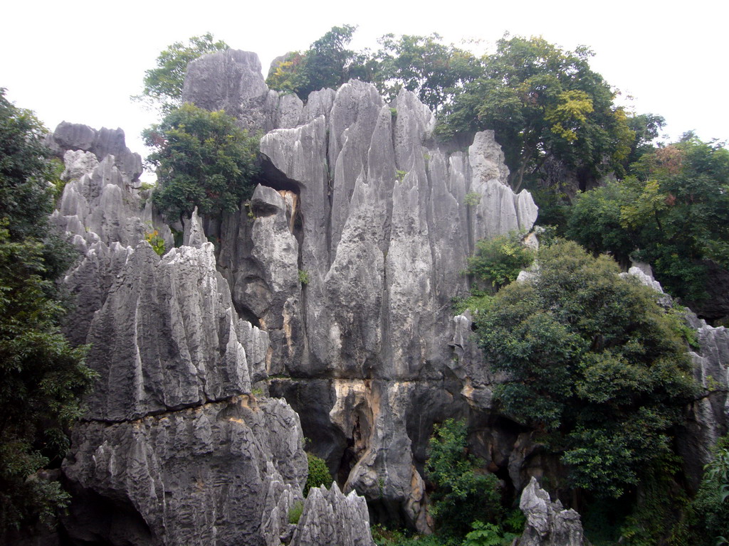 View from a high pavilion on the Major Stone Forest of Shilin National Park