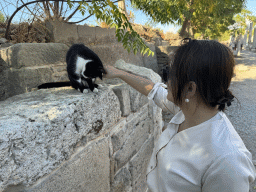 Miaomiao with a cat at the Liman Caddesi street