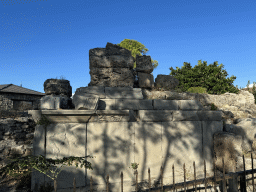 South side of the Men Temple at the Barbaros Caddesi street