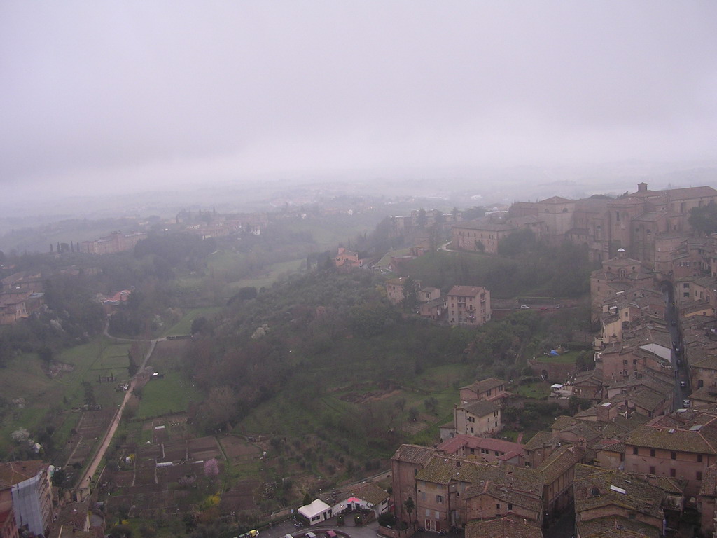 The south side of the city, viewed from the top of the Tower of Mangia