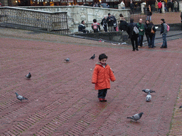 Child chasing pigeons in front of the Gaia Fountain at the Piazza del Campo square
