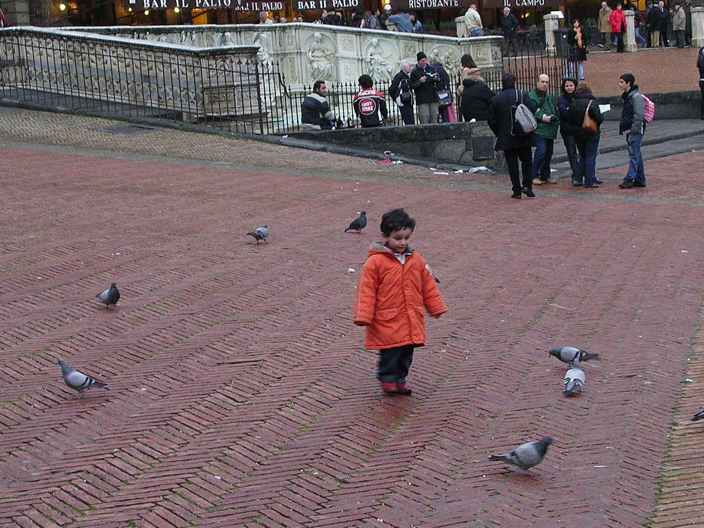 Child chasing pigeons in front of the Gaia Fountain at the Piazza del Campo square