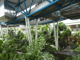 Tropical rainforest garden under the Singapore Flyer ferris wheel