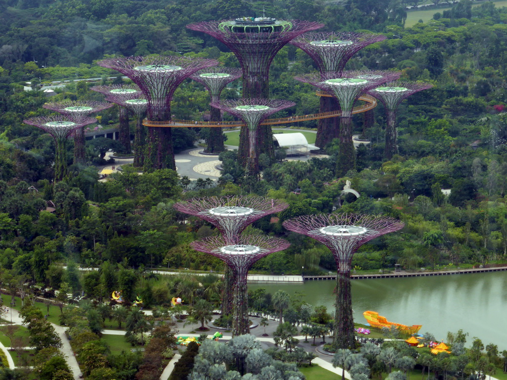 The Cloud Forest and the Dragonfly Lake at the Gardens by the Bay, viewed from the Singapore Flyer ferris wheel