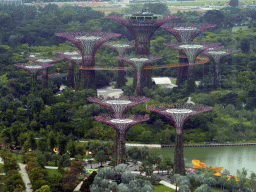 The Cloud Forest and the Dragonfly Lake at the Gardens by the Bay, viewed from the Singapore Flyer ferris wheel