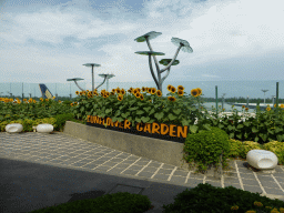 Sunflower Garden at Terminal 2 of Singapore Changi Airport