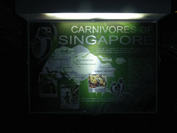 Explanation on the Carnivores of Singapore at the Butterfly Garden at Terminal 3 of Singapore Changi Airport, by night