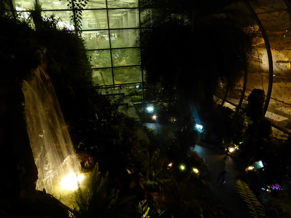 The Butterfly Garden at Terminal 3 of Singapore Changi Airport, by night