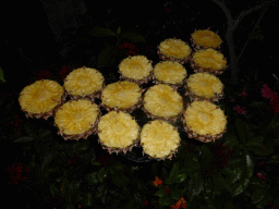 Pineapples at the Butterfly Garden at Terminal 3 of Singapore Changi Airport, by night