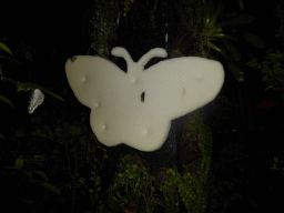 Butterflies at the Butterfly Garden at Terminal 3 of Singapore Changi Airport, by night