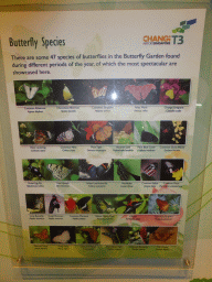 Information on butterflies at the Butterfly Garden at Terminal 3 of Singapore Changi Airport
