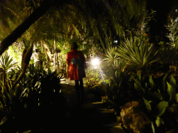 Miaomiao at the Cactus Garden at Terminal 1 at Singapore Changi Airport, by night