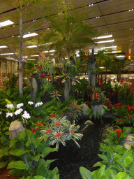 Small Garden at Terminal 1 of Singapore Changi Airport