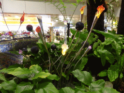 Enchanted Garden at Terminal 2 of Singapore Changi Airport