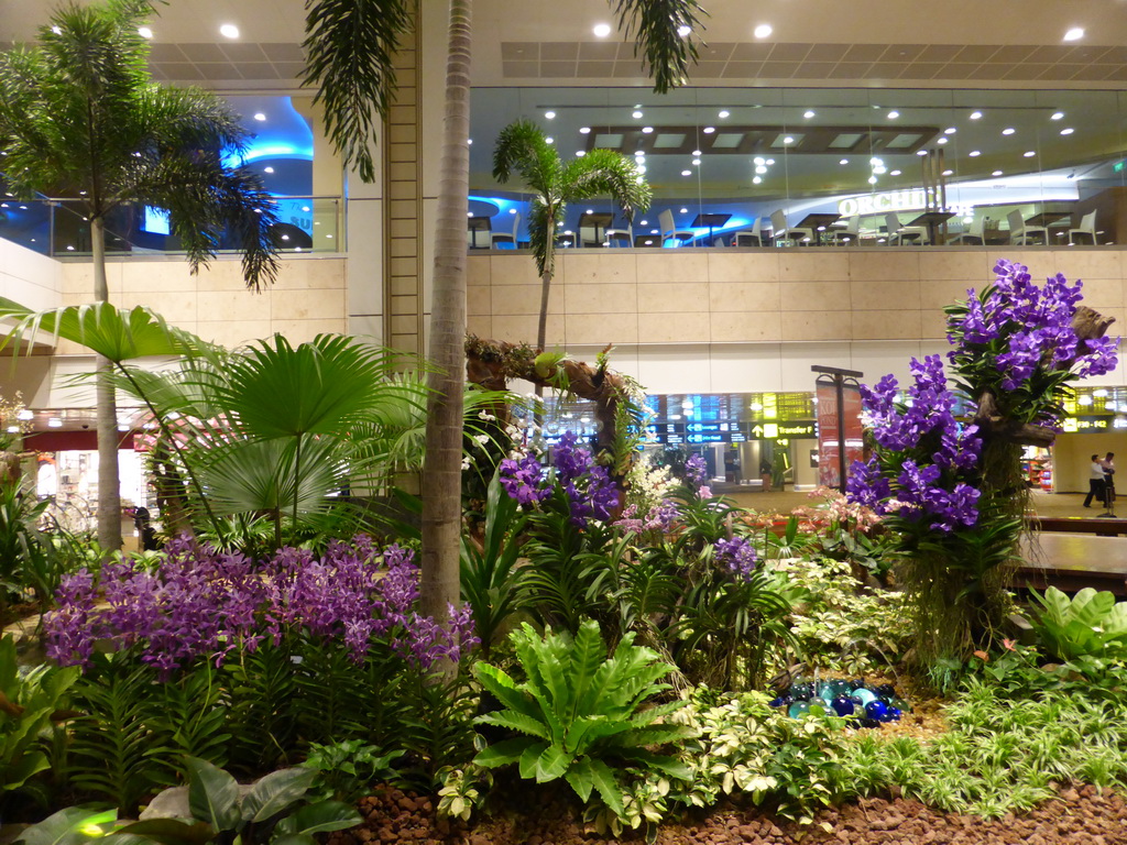 Orchid Garden at Terminal 2 of Singapore Changi Airport