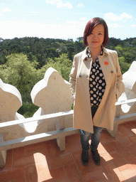 Miaomiao at the terrace on top of the Kitchen of the Palácio da Pena palace, with a view on the northwest side of the Jardins do Parque da Pena gardens