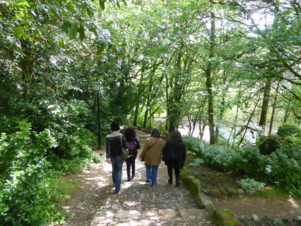 Path through the Jardins do Parque da Pena gardens