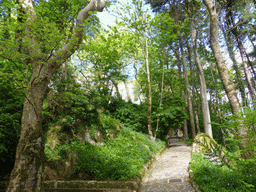 Path through the Jardins do Parque da Pena gardens