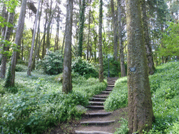 Path through the Jardins do Parque da Pena gardens