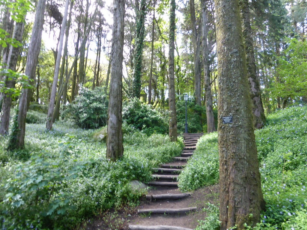 Path through the Jardins do Parque da Pena gardens