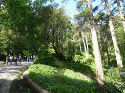 Path through the Jardins do Parque da Pena gardens