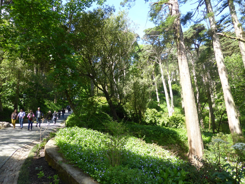 Path through the Jardins do Parque da Pena gardens