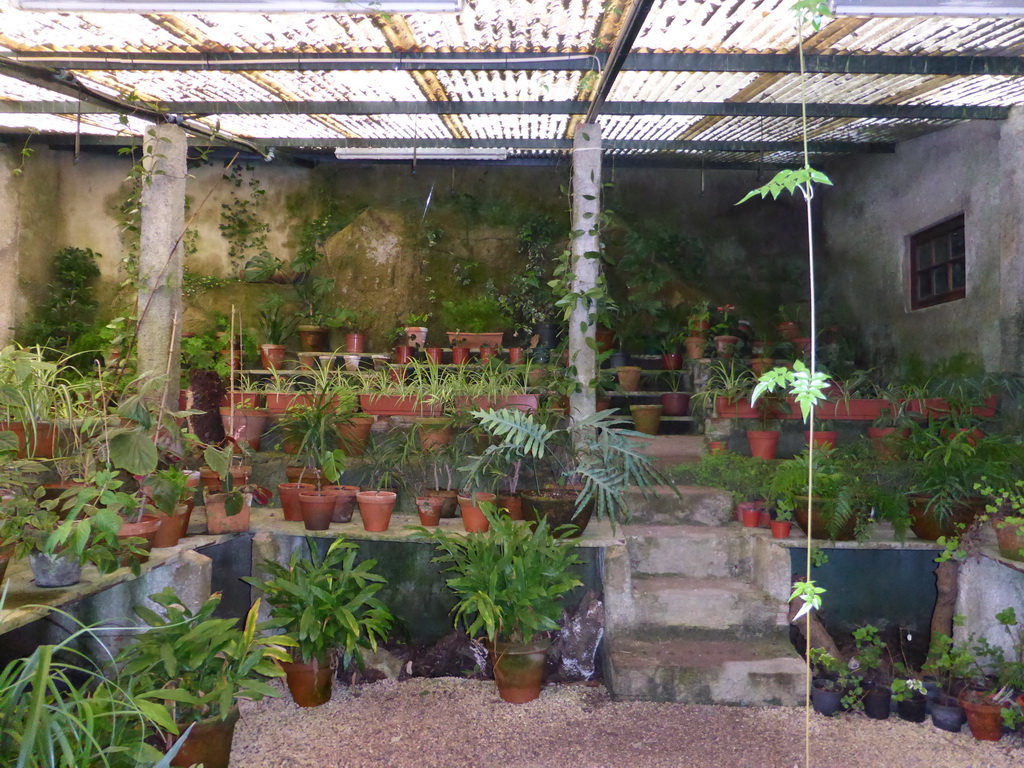 Pots with plants in a shed at the Parque das Merendas park