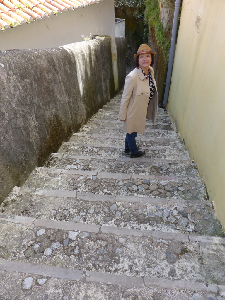 Miaomiao on a staircase from the Rua Ferraria street to the Rua Visconde Monserrate street