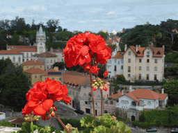 Flowers at the Largo Rainha Dona Amélia square with a view on the tower of the City Hall and surroundings