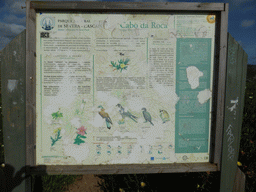 Information on the wildlife at the Cabo da Roca cape