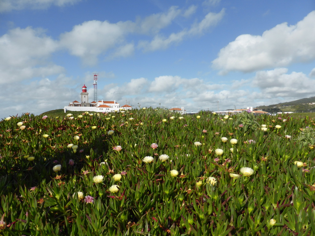 Flowers and the lighthouse at the Cabo da Roca cape