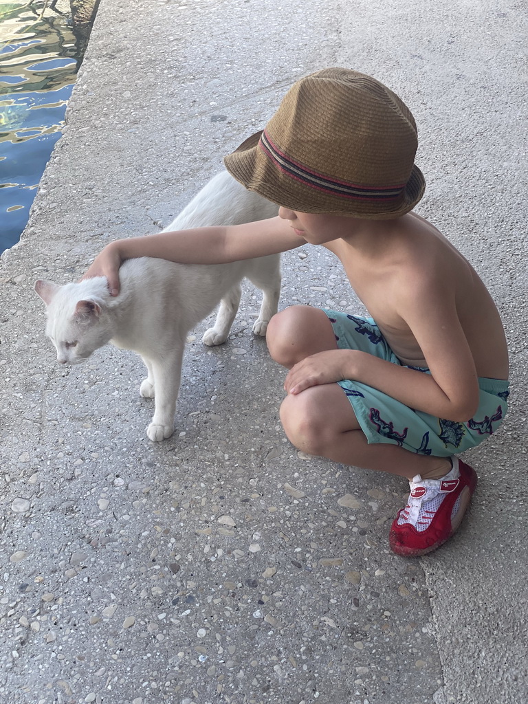 Max with a cat at the Sudurad Harbour