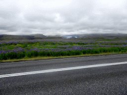 The Þjóðvegur road, Lupine flowers and the Mýrdalsjökull glacier