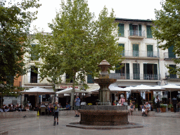 Fountain at the Plaça Constitucio square