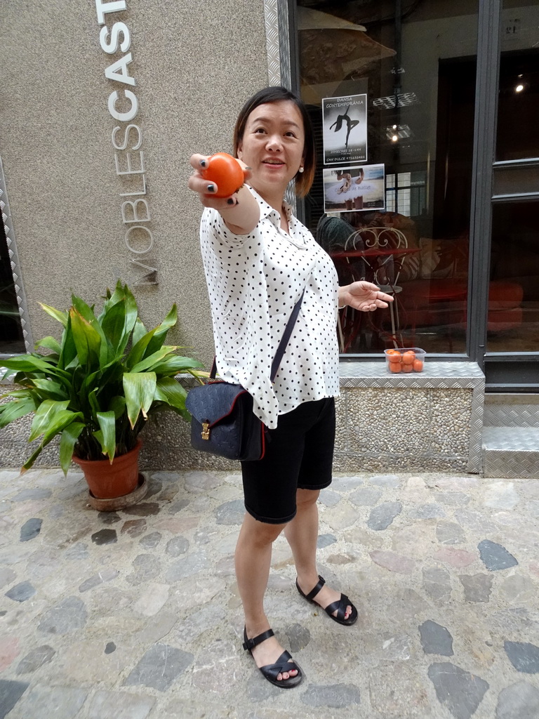 Miaomiao with kaki fruit at the Carrer de sa Lluna street