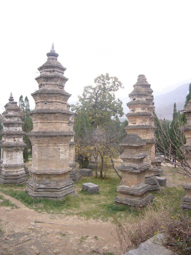 Pagodas at the Pagoda Forest at Shaolin Monastery