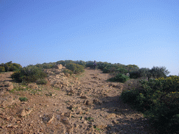 Miaomiao at Cape Sounion