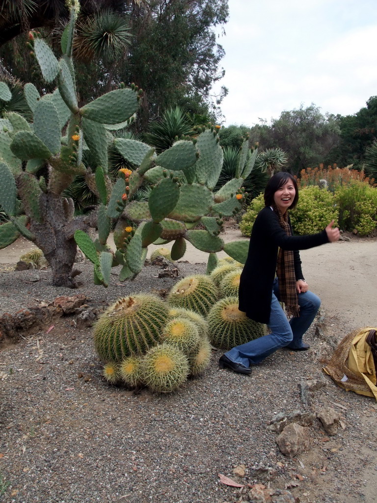 Mengjin with cactuses at the Arizona Cactus Garden of Stanford University