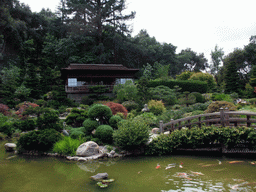 House, bridge and pool in a park near Stanford