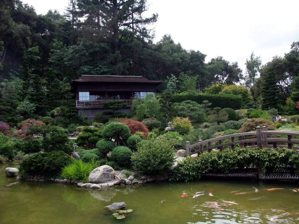 House, bridge and pool in a park near Stanford